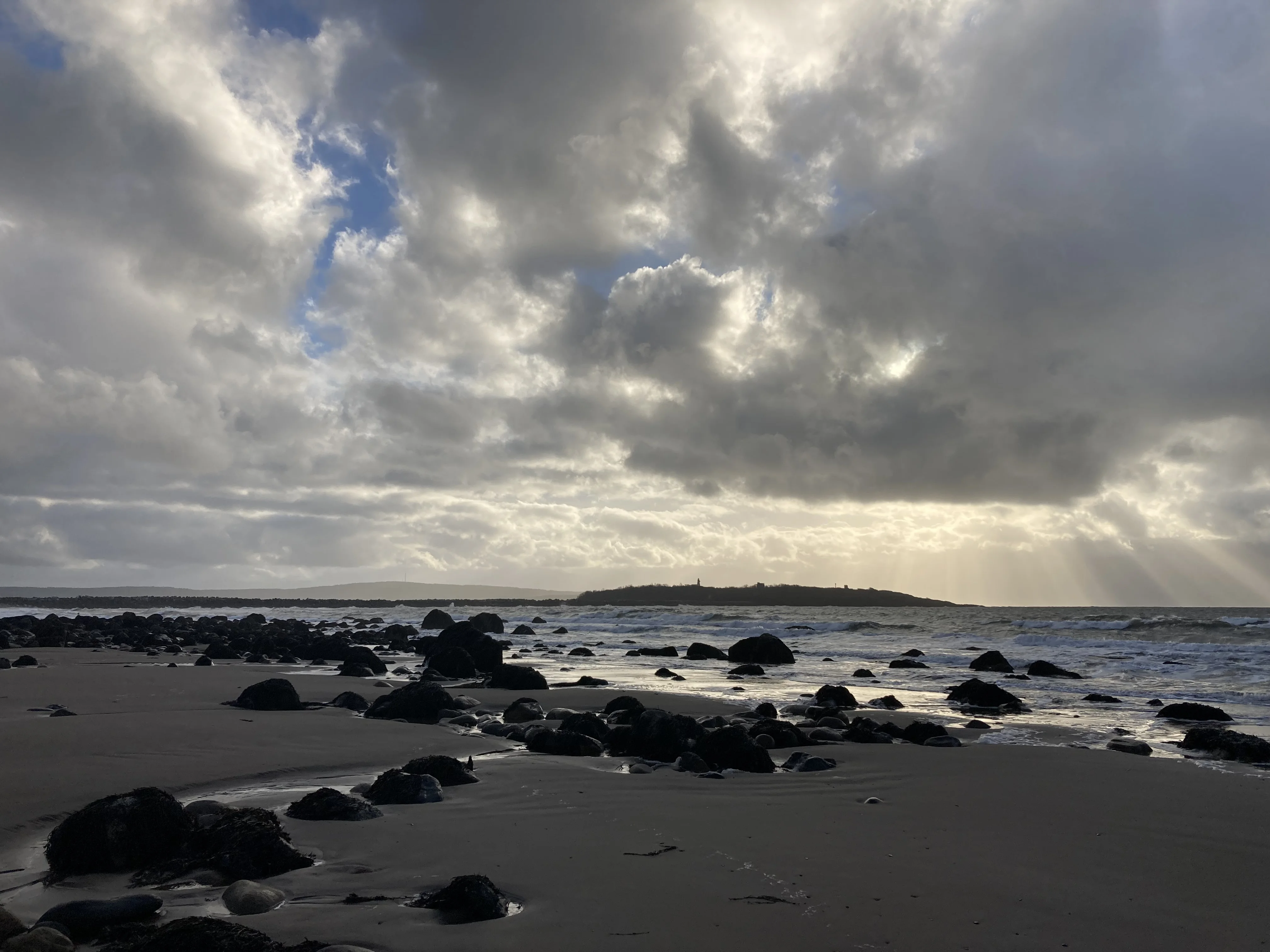 Seashell Counselling moment 3
